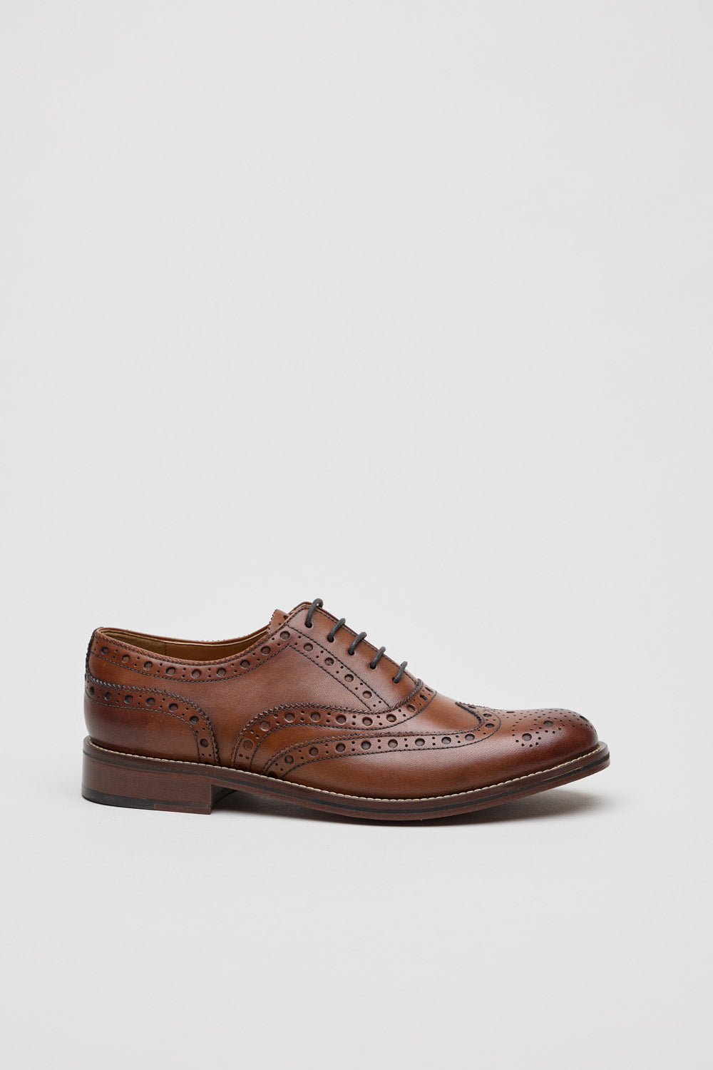 Chocolate Brown